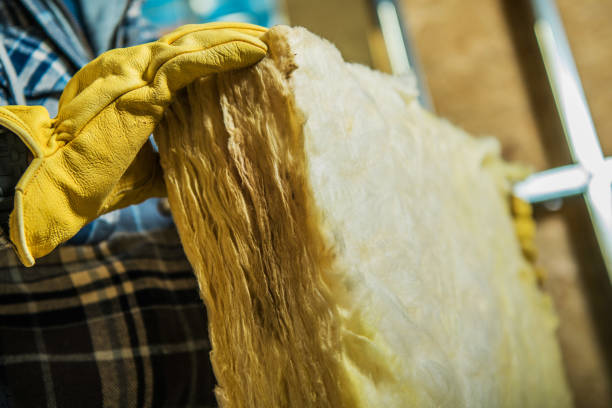 Best Insulation Inspection Services  in Selden, NY