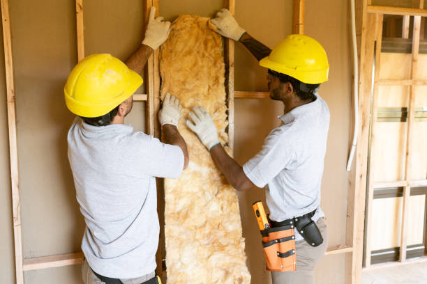 Best Insulation Repair Services  in Selden, NY